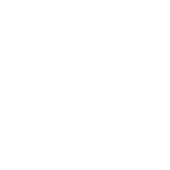 Studies & Trends Studien & Trends