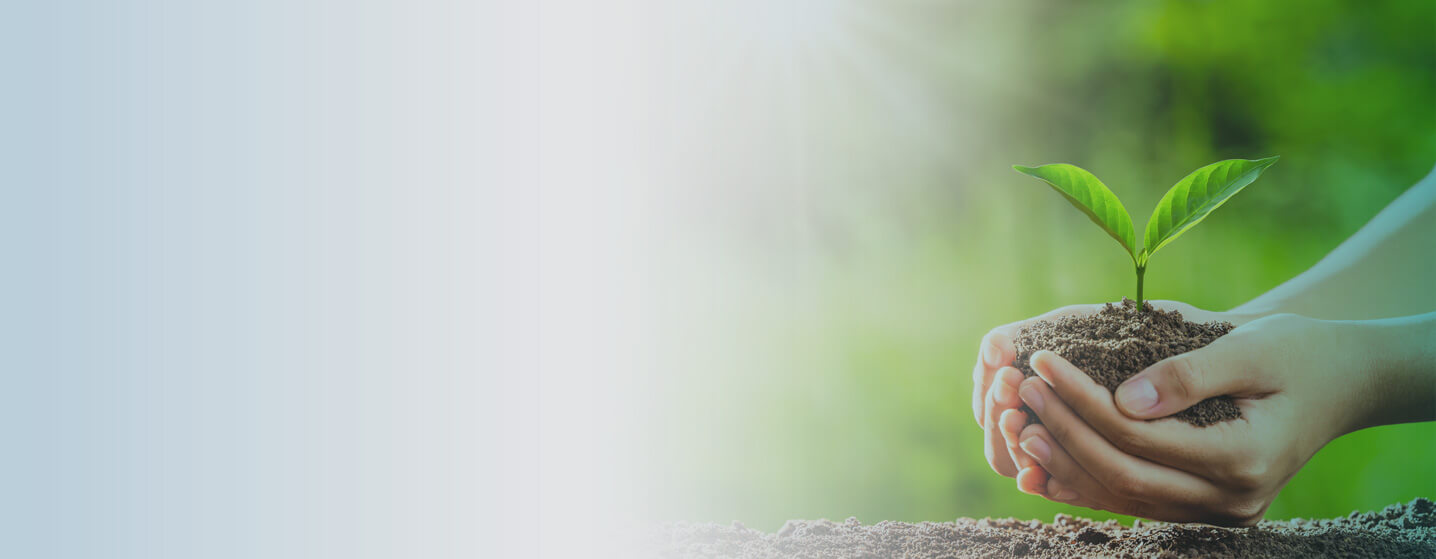 Decorative picture for Environment (© iStock 1247794763 from lovelyday12) Decorative picture for Environment