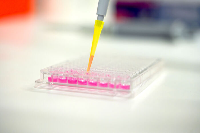 Vivacell Biotechnology, Denzlingen Vivacell Biotechnology, Denzlingen…