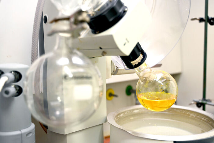 Vivacell Biotechnology, Denzlingen Vivacell Biotechnology, Denzlingen…