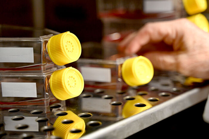 Vivacell Biotechnology, Denzlingen Vivacell Biotechnology, Denzlingen…